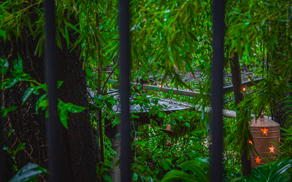 Rincón iluminado entre árboles y vegetación, con farol de estrellas al anochecer