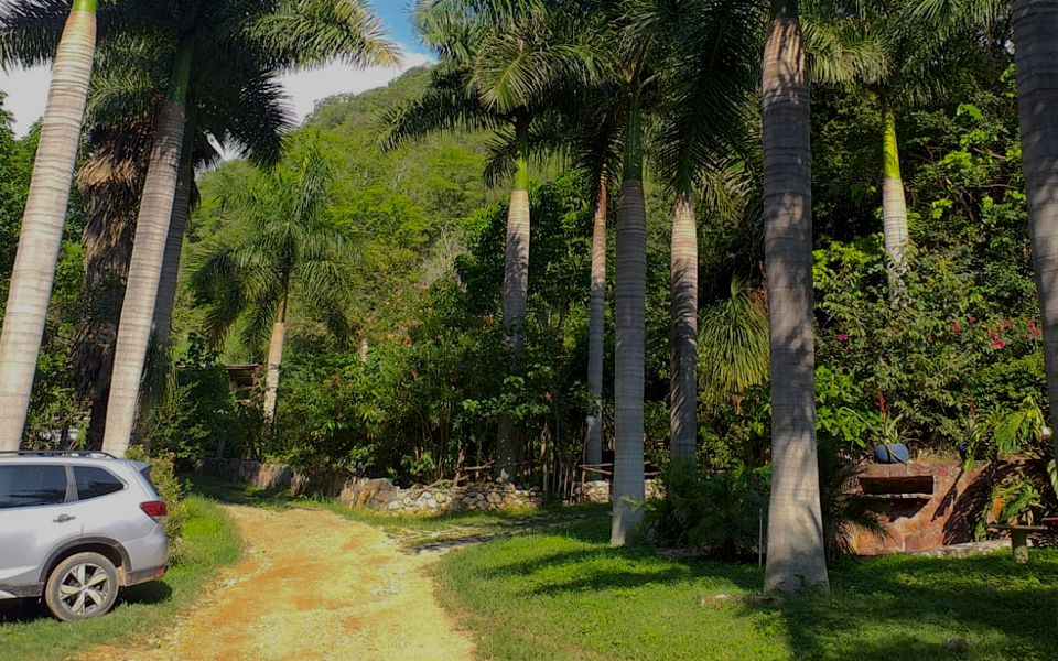 Área de estacionamiento con auto y camino de tierra, rodeado de palmeras y vegetación exuberante