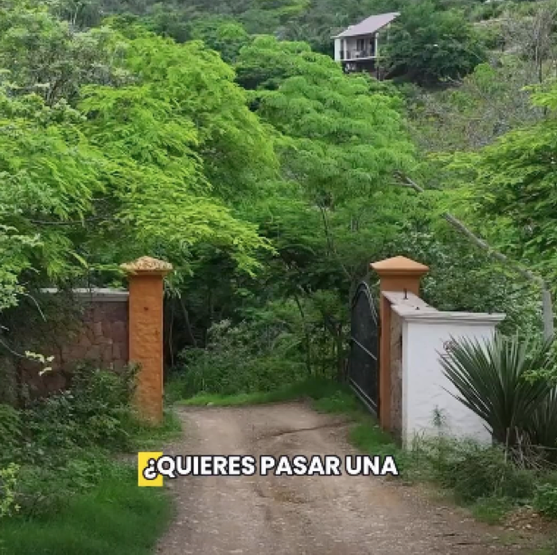 Descubre el paraíso oculto en El Jardín Secreto.