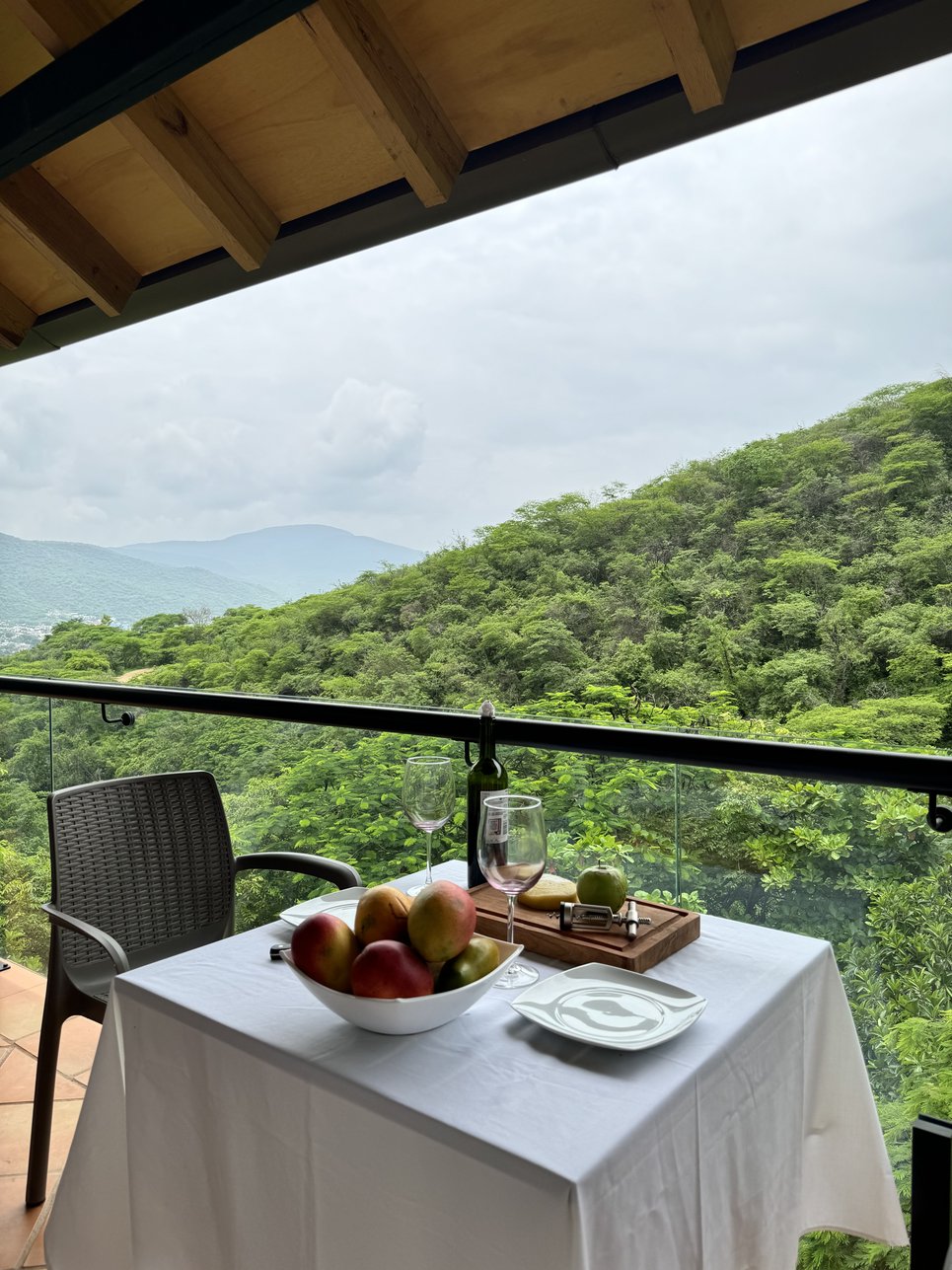Terraza de la Cabaña Las Águilas con frutas, vino y vista a las montañas verdes.