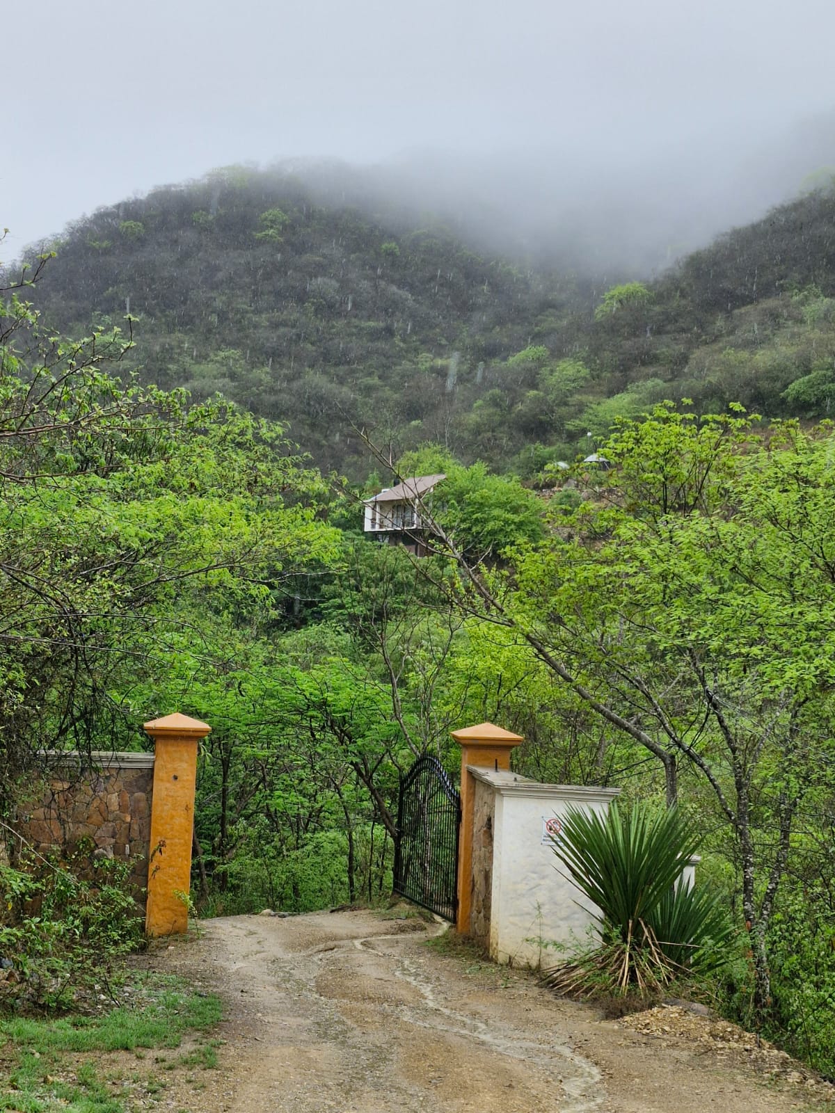 Portón de entrada a la Cabaña Las Águilas entre colinas verdes y niebla.