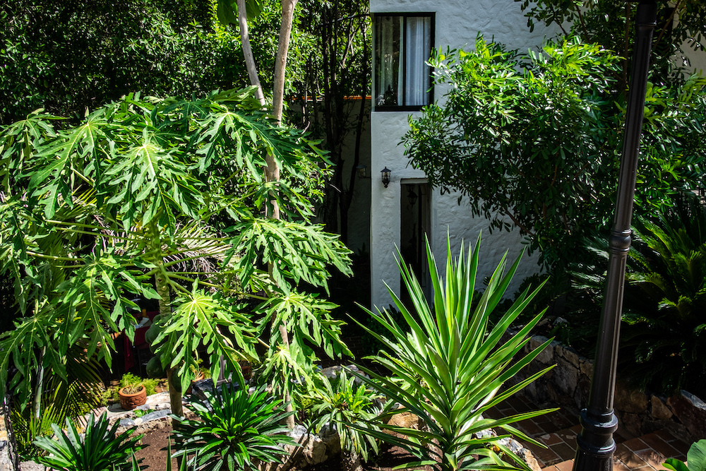 Foto de la Habitación el Jardin Secreto