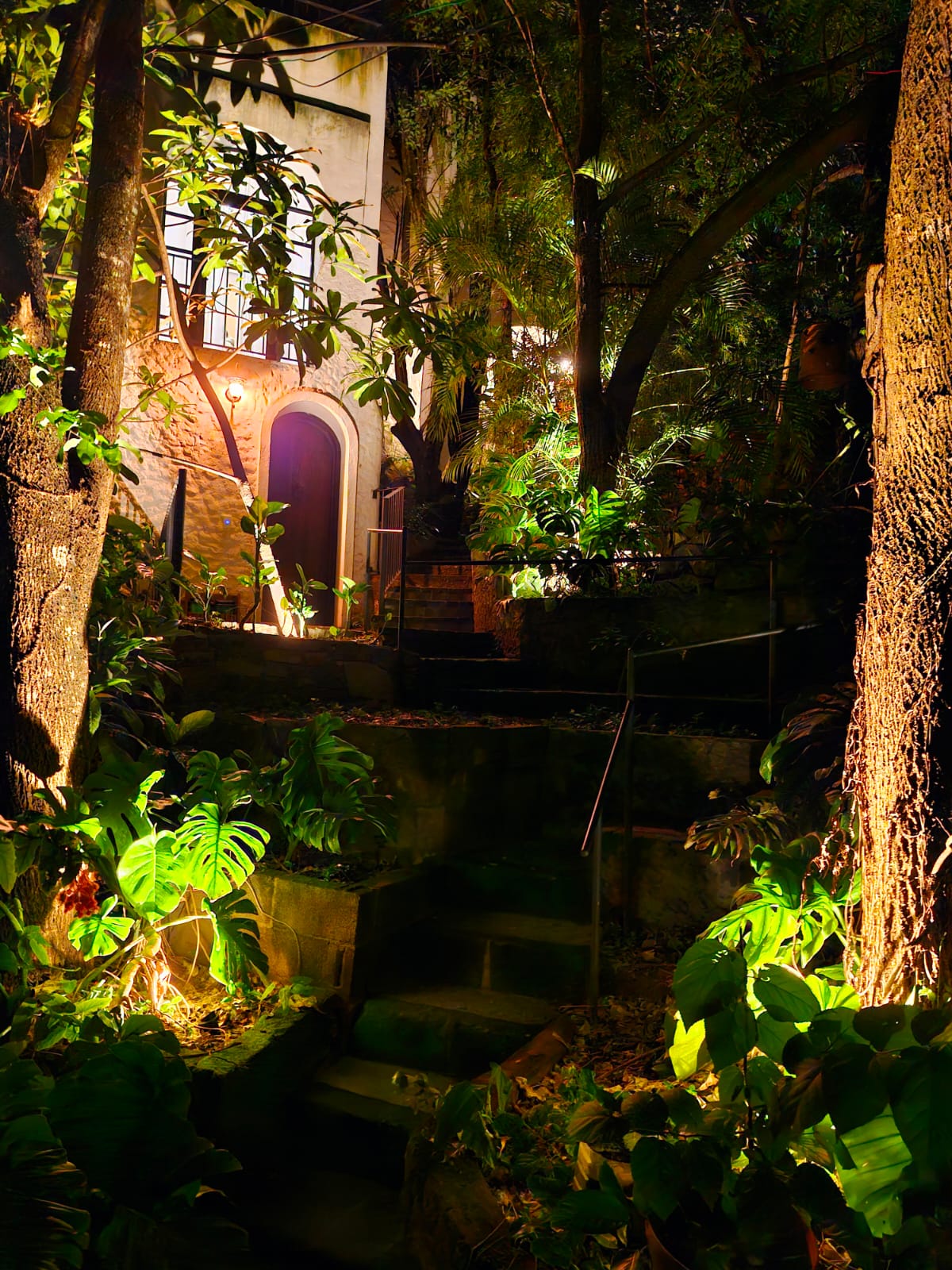 Entrada de la Habitación San Francisco iluminada de noche, rodeada de vegetación exuberante, árboles y plantas tropicales.