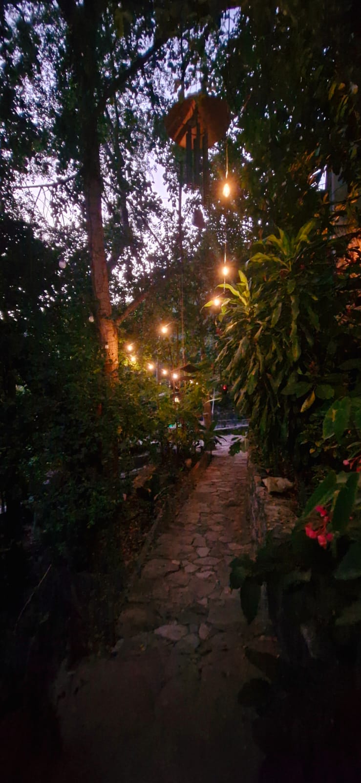Sendero empedrado al atardecer, rodeado de árboles y plantas, con luces colgantes y un móvil de viento decorativo.
